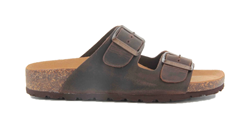 CIABATTA THESIS  R IMB V. CR.HORSE CAFFE